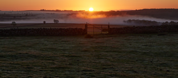 Misty gate This landscape photograph captures a misty gate leading through a rural field in the Peak District near Curbar Edge at sunrise. The early morning light of autumn creates a soft orange glow across the horizon, illuminating layers of mist that drift above the undulating countryside. A dry stone wall runs across the foreground, typical of rural boundaries in this region, and adds texture to the scene. The sun rises behind distant hills, producing long shadows and enhancing the atmospheric mist over the landscape. The combination of the gate, wall, mist, and low sun signifies the tranquil beauty of an autumn morning in the Peak District.